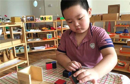 如何培養孩子的意志力家長心得