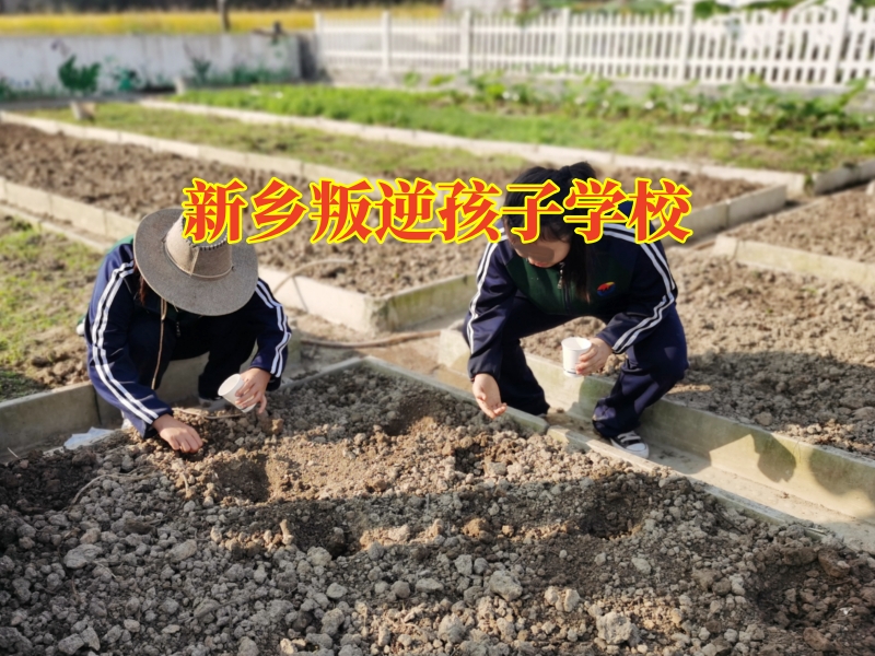 叛逆孩子頂嘴,孩子不聽話頂嘴