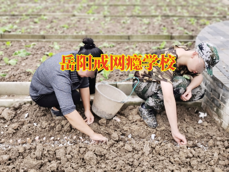 岳陽戒網癮學校，孩子黑白顛倒三步法幫助孩子進行糾正