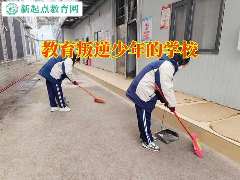 教育叛逆少年的學校分析孩子易怒的原因