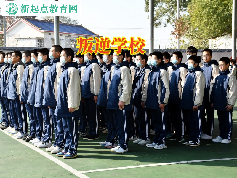 叛逆學(xué)校對孩子有用嗎