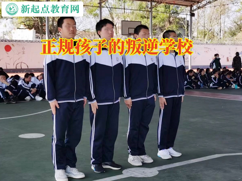 正規(guī)孩子的叛逆學(xué)校分析孩子脾氣暴躁的原因