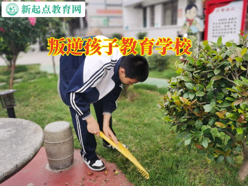 叛逆孩子教育學校管教小孩離家出走行為