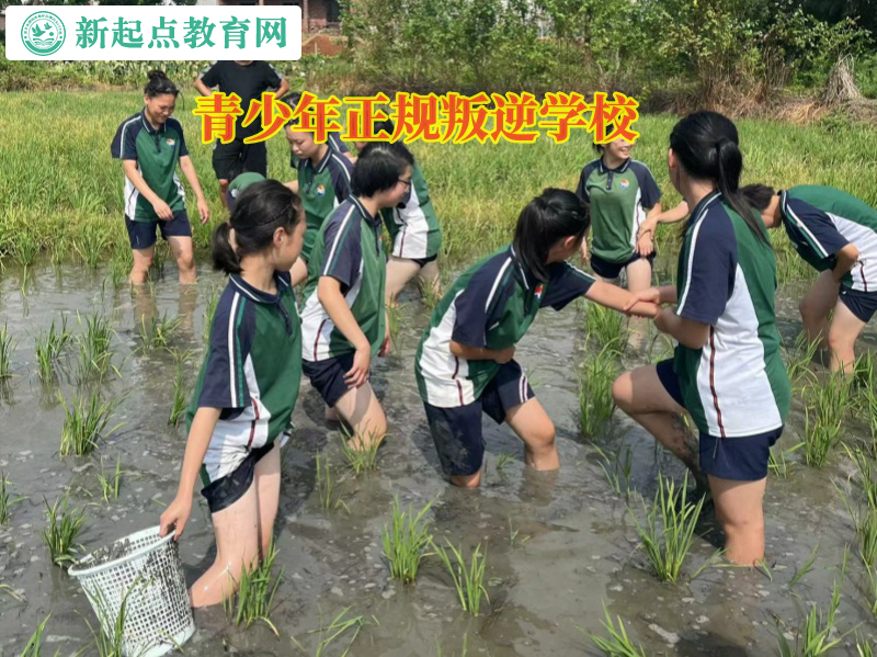 青少年正規(guī)叛逆學(xué)校矯正孩子厭學(xué)行為