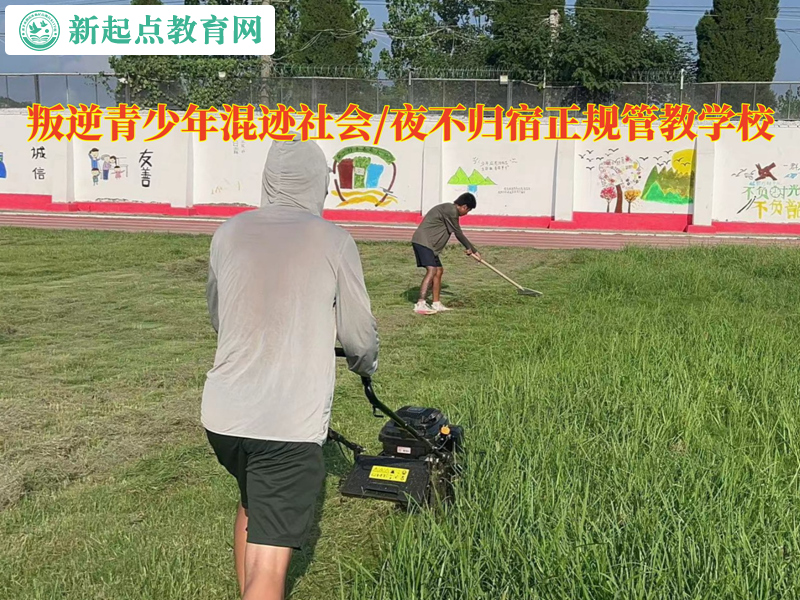教育青少年正規管教學校介紹混社會的危害