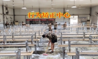 孩子脾氣暴躁易怒厭學(xué)