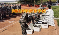 對于孩子不愿意寫作業家長怎么辦