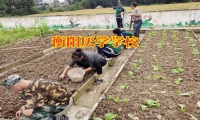 孩子輟學家長應該怎么幫助孩子進行糾正