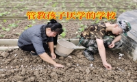 管教孩子厭學的學校矯正孩子成績下降問題