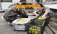 新時代下，17歲不上學(xué)就廢了么